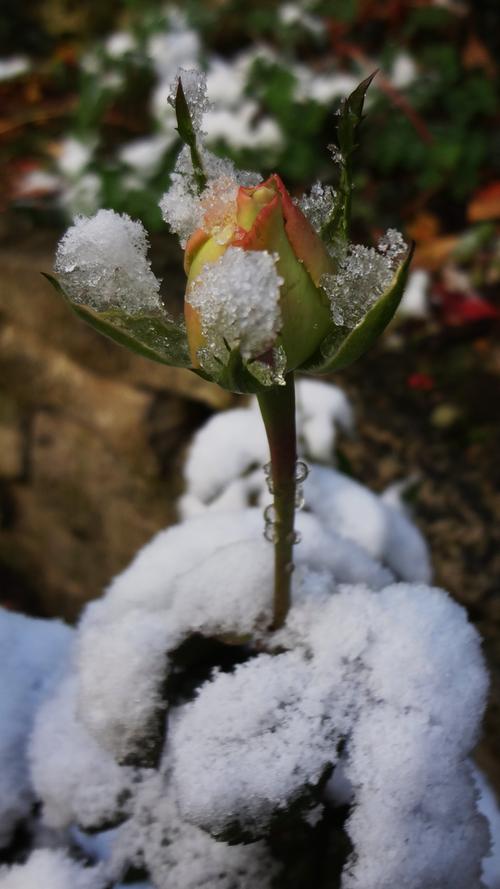 Fotowettbewerb: Die magischen Winter-Momente unserer Leser