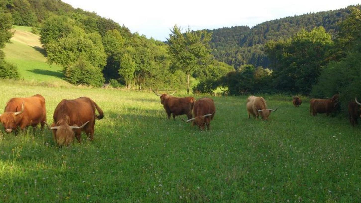 Frisch ab Hof: Naturparkhöfe in der Fränkischen Schweiz sind im Kommen