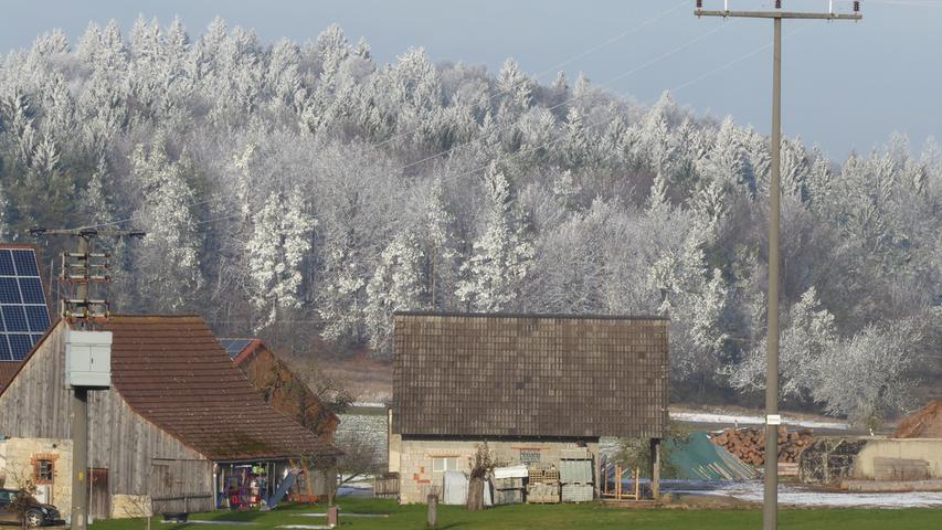Winterlandschaft: Erster Schnee rieselt im Nürnberger Land