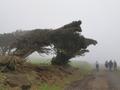 El Hierro El Hierro