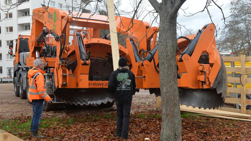 Bäume in Erlangen: Eine Riesenmaschine pflanzt um