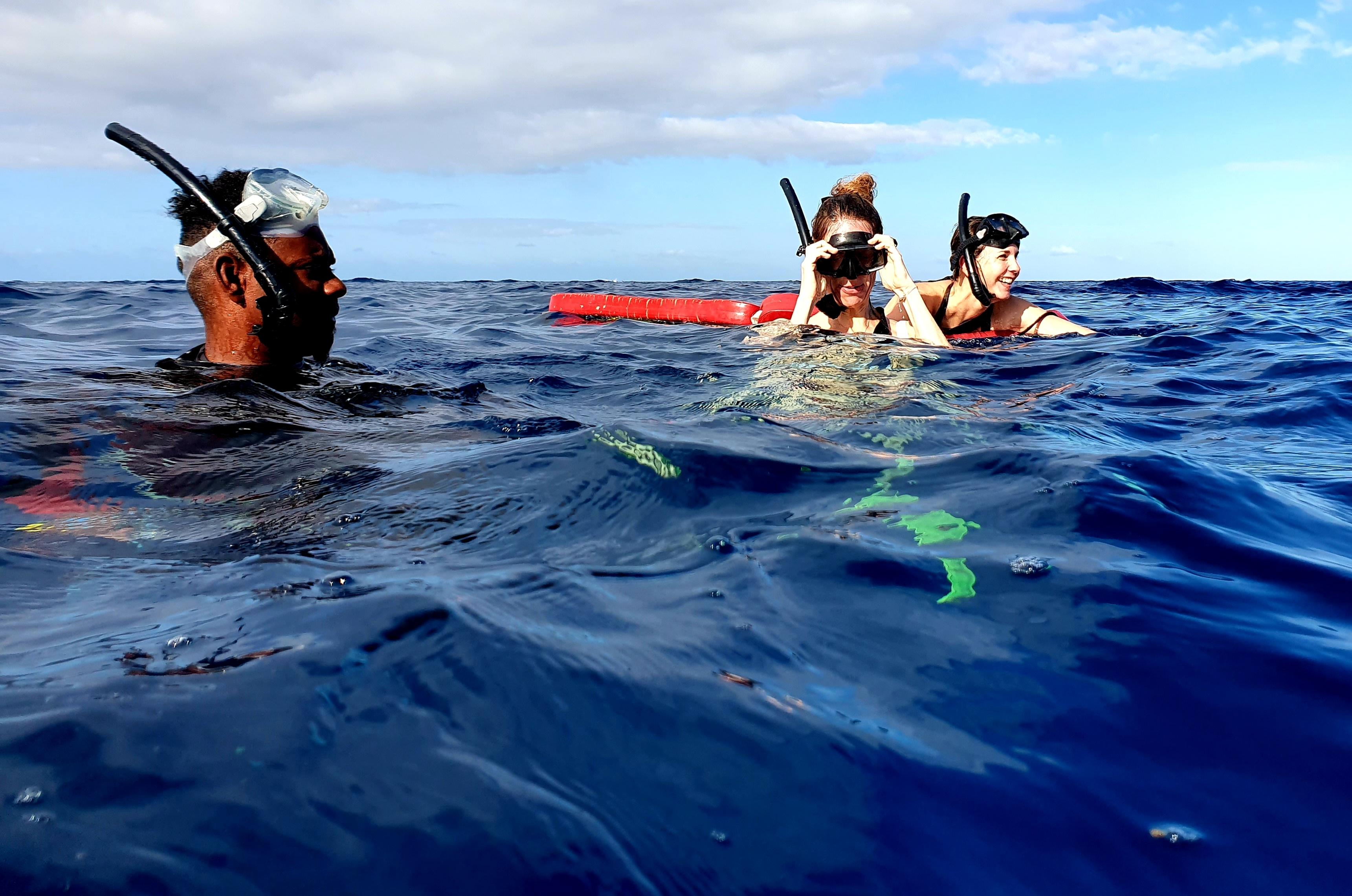 Mauritius Westküste mit Hauptstadt und Delphinschnorcheln