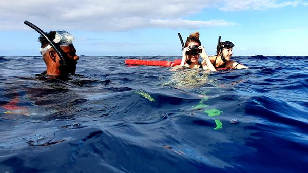 Mauritius Westküste mit Hauptstadt und Delphinschnorcheln