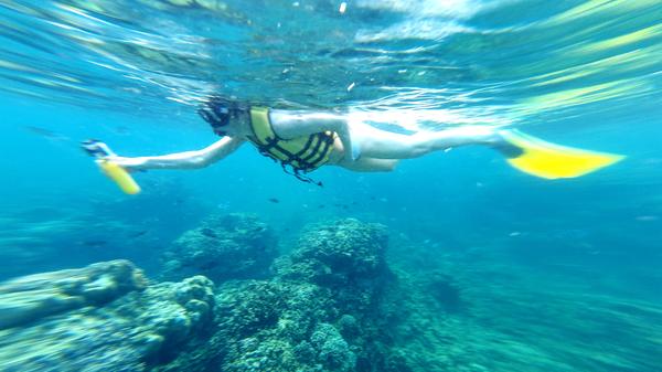 Ein Stückchen weiter liegt das Riff, das Mauritius umgibt. Hier kann man auch wunderbar schnorcheln.