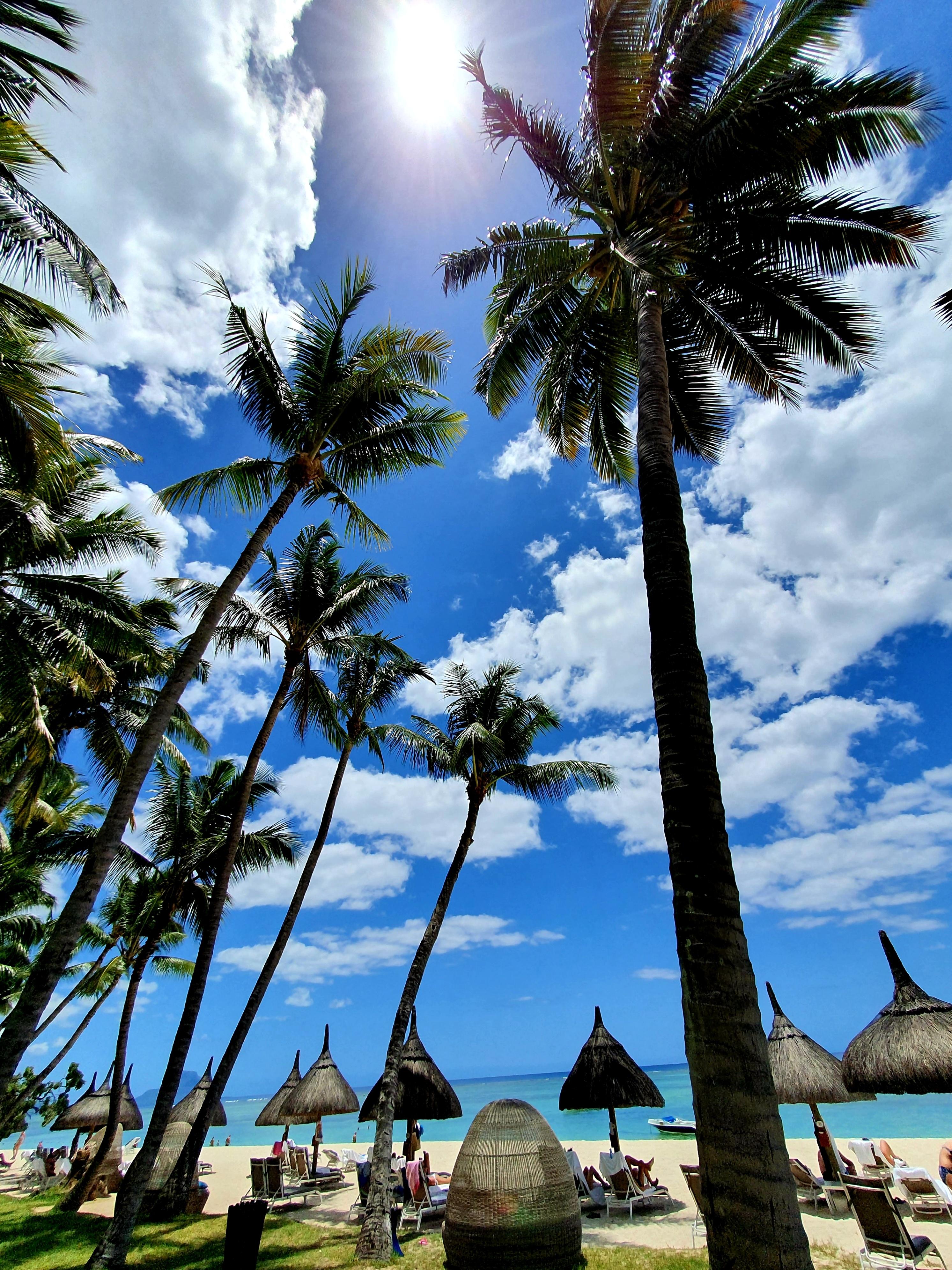 Typischer Strand vor dem Hotel Sugar Beach.
