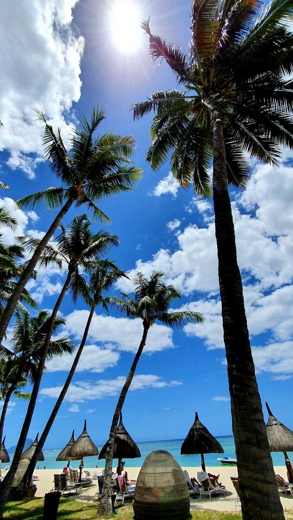 Typischer Strand vor dem Hotel Sugar Beach.