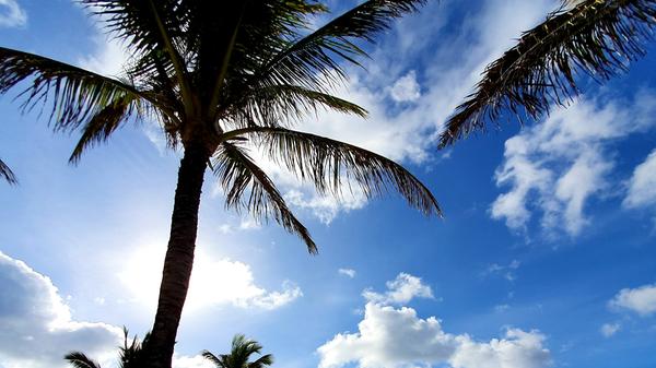 Noch sitzen wir am Strandpool im Long-Beach-Hotel. Doch gleich geht es hinaus auf die Insel. Mauritius im indischen Ozean steht für hochpreisigen Strandurlaub in Hotels, in denen die Gäste rundum gepampert werden. Vor den Toren der Häuser spielt sich das pralle Leben ab - wer das nicht erkundet, verpasst etwas. Die Ostküste ist dem Wetter zugewandt, hier kann man im Ferney-Tal trecken, die Ile aux Cerfs und den Flacq-Centralmarket besuchen und bei Sonnenaufgang um fünf Uhr früh mit dem Kajak zum Riff paddeln.