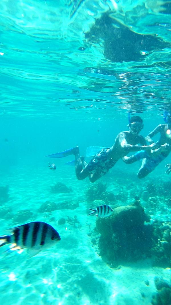 Direkt vor dem Strand des Sun-Resort Long Beach kann man am nahen Riff toll schnorcheln.