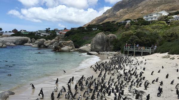 Frackträger unter sich