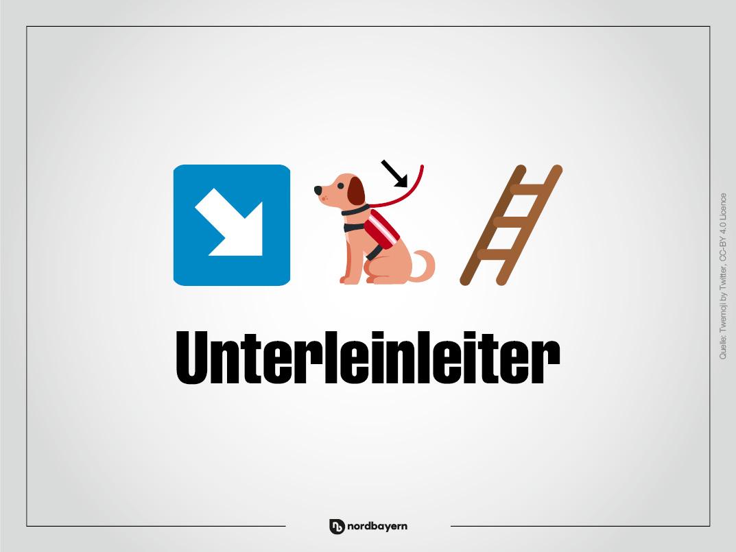 Ein Pfeil, der nach unten zeigt, ein Hund mit Leine und eine Leiter: Das ist Unterleinleiter.