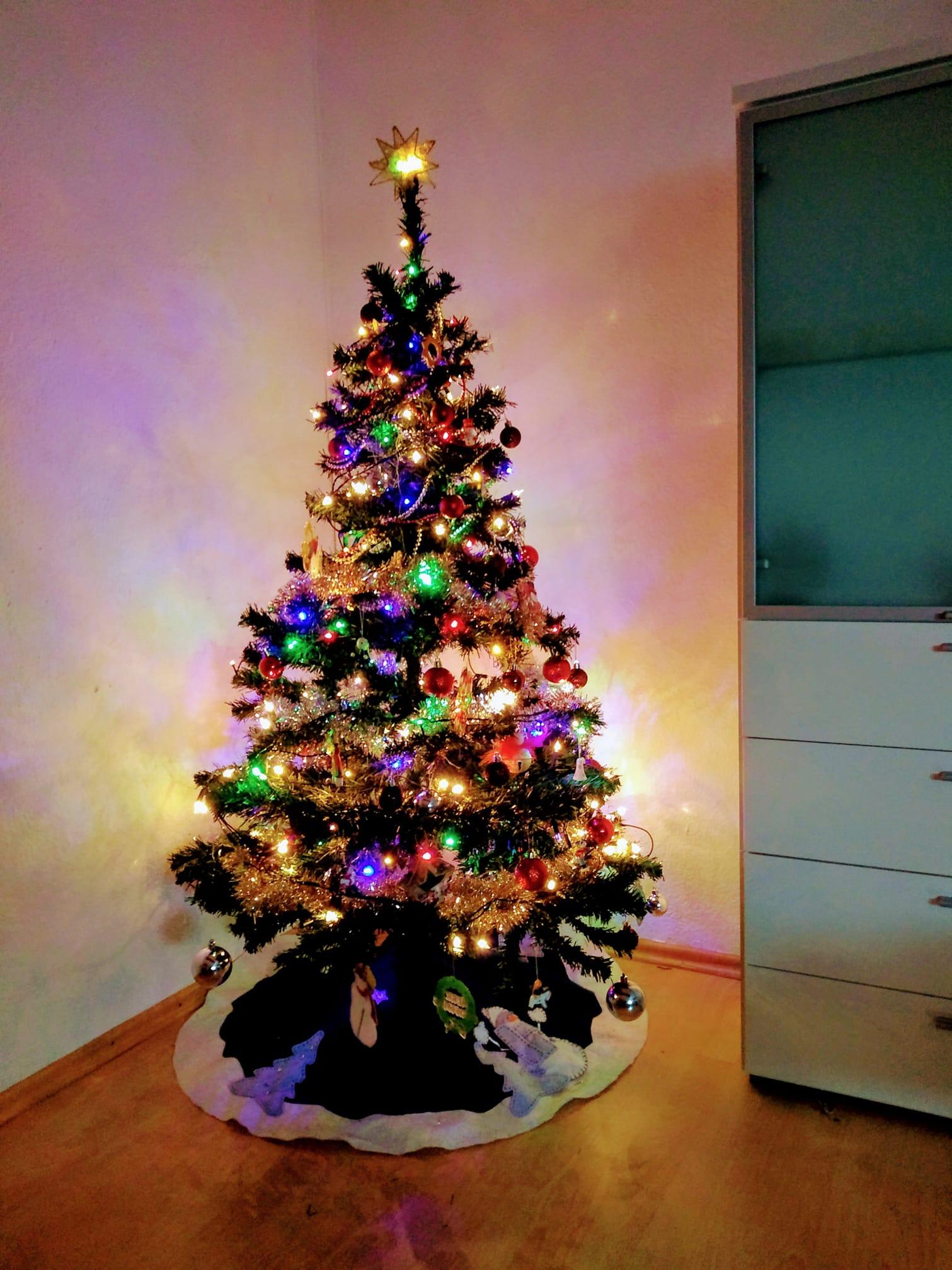 So schön sind die Weihnachtsbäume unserer User