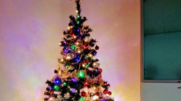 So schön sind die Weihnachtsbäume unserer User