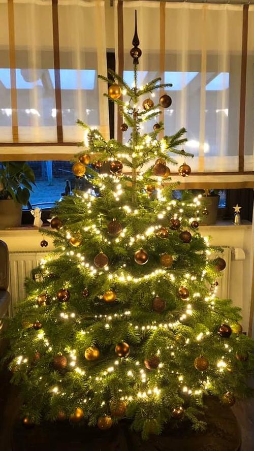 Weihnachten 2019: Das sind die schönsten Christbäume unserer User