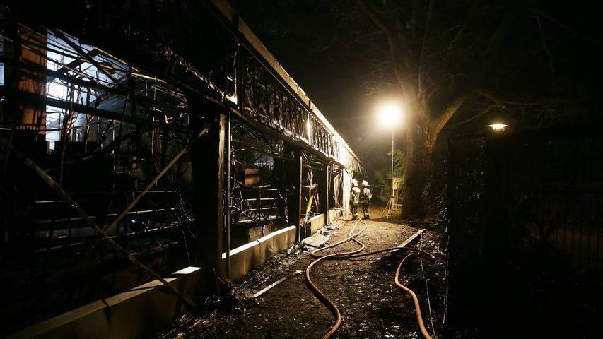 Über 30 Tiere tot: Feuer zerstört Affenhaus im Krefelder Zoo