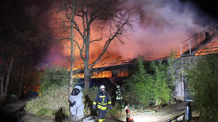 Über 30 Tiere tot: Feuer zerstört Affenhaus im Krefelder Zoo