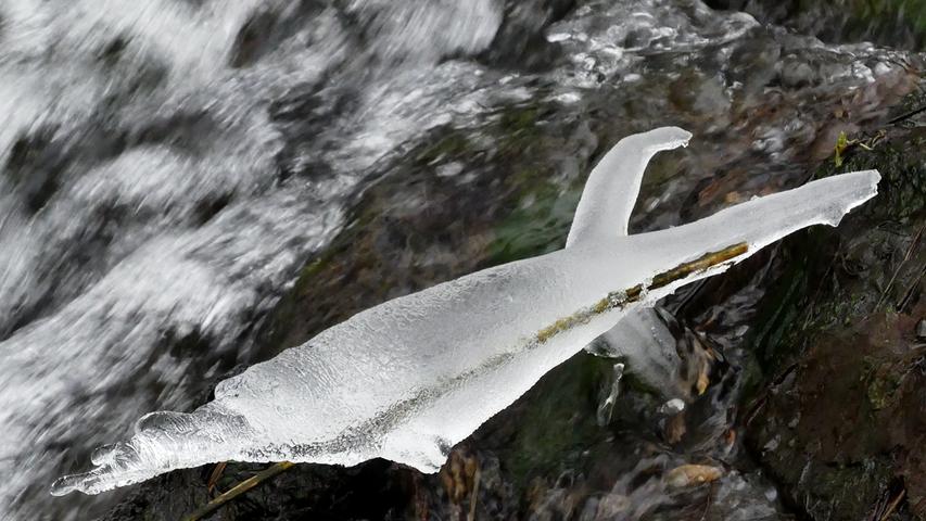 Die Natur als Eiskünstler: Hier scheint ein eisiger Hai im Bach zu schwimmen.