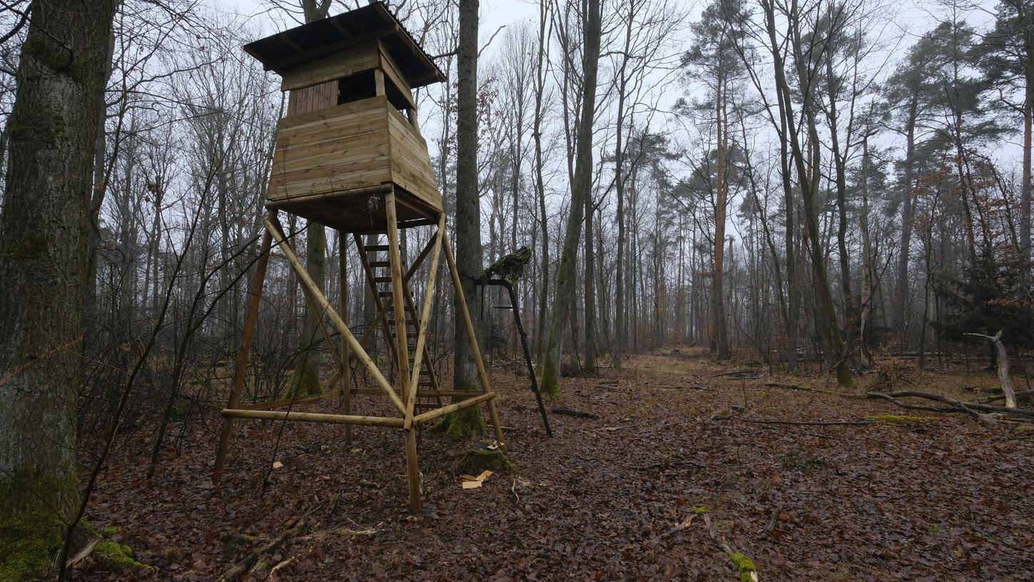 Schüsse am Tiergarten? Neuer Jägerstand sorgt für Ärger Schüsse am Tiergarten? Neuer Jägerstand sorgt für Ärger
