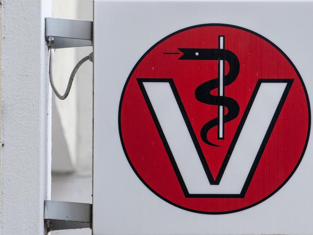 Tierarzt Muss Nach Tod Eines Pferdes 250 000 Euro Zahlen Region Nordbayern De