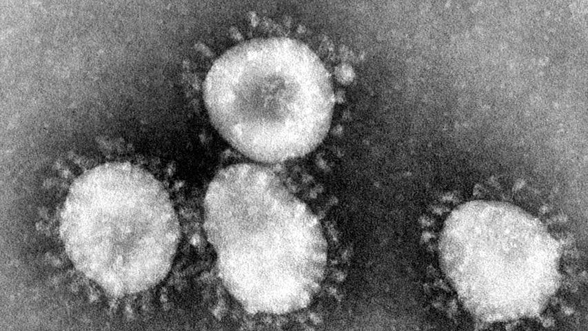 WHO-Bericht: Ursprung von Corona-Pandemie wohl geklärt