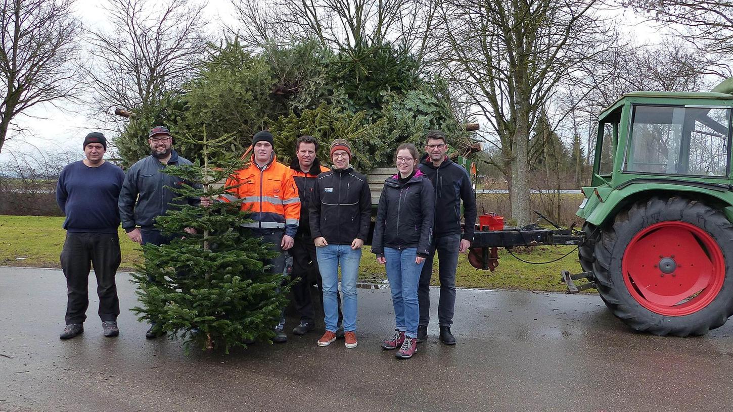 Für eine guten Zweck: 500 Euro Spenden sammelte die JU Freystadt bei ihrer Christbaum-Aktion.
