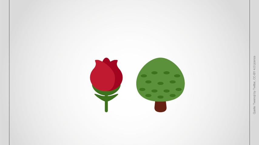 Was könnte hiermit gemeint sein - eine Rose und dazu eine strauch-ähnliche Pflanze?