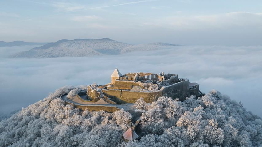 Über den Wolken: Die Luftaufnahme zeigt die mit Raureif überzogenen Bäume des Waldes um die Burg von Visegrad in der nebligen Morgendämmerung. Die berühmte Burg liegt 40 Kilometer nördlich von Budapest.
