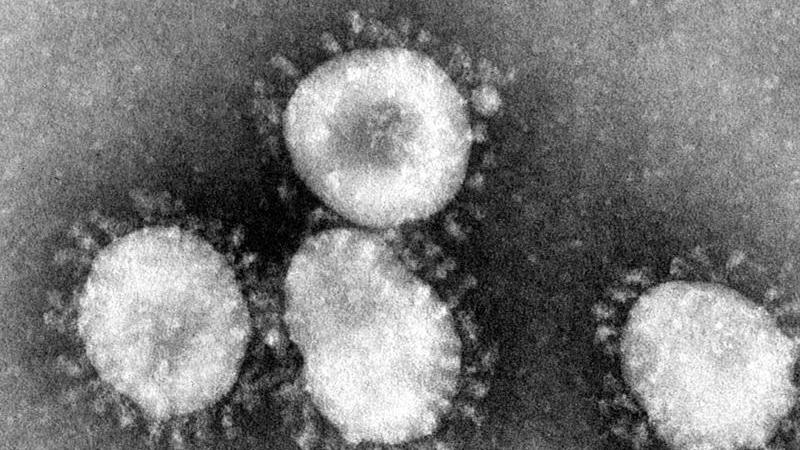 Nach neuen Schätzungen sollen bereits über 1700 Menschen mit dem Coronavirus infiziert sein.