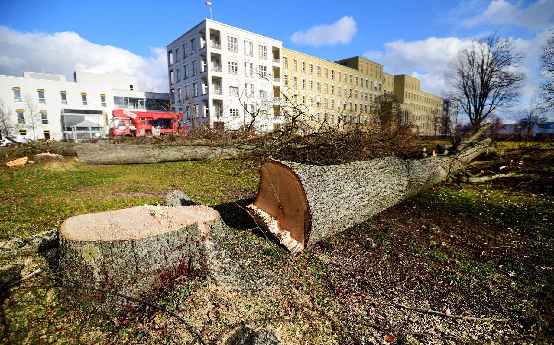Wiese vor dem Klinikum Fürth