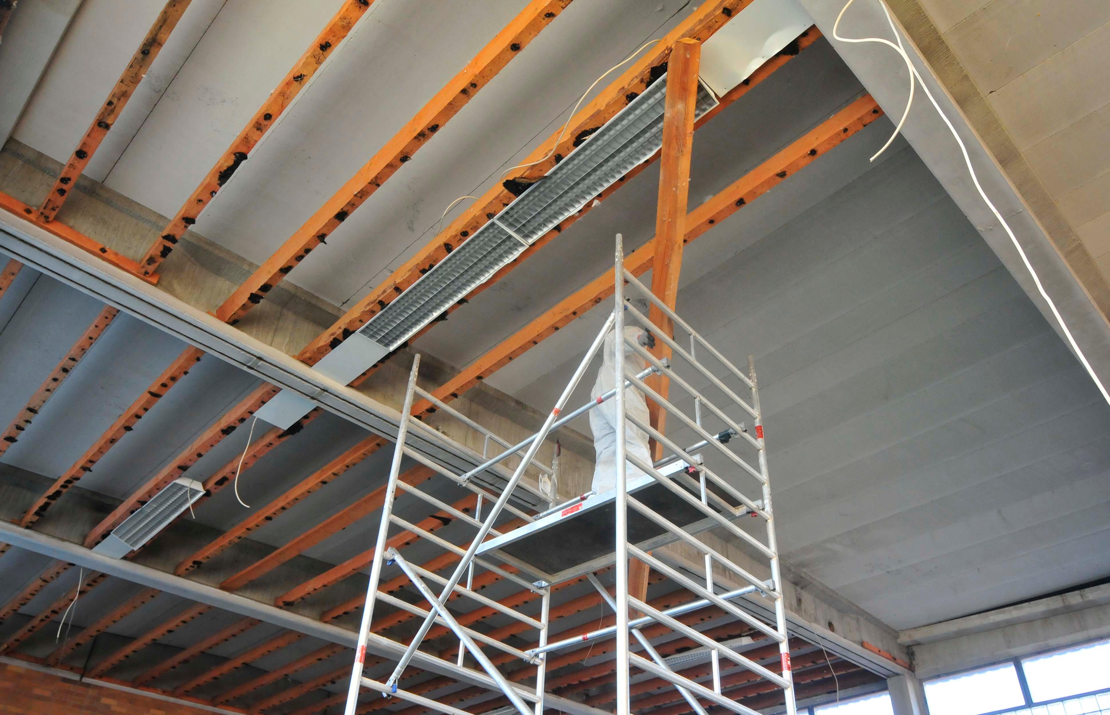 Für über 3 Millionen Euro wird die Turnhalle der Grundschule Buckenhofen generalsaniert. Der Abriss der Einrichtung hat begonnen. Die Halle wird auf den Rohbauzustand zurückversetzt, ehe sie komplett neu ausgestattet wird.