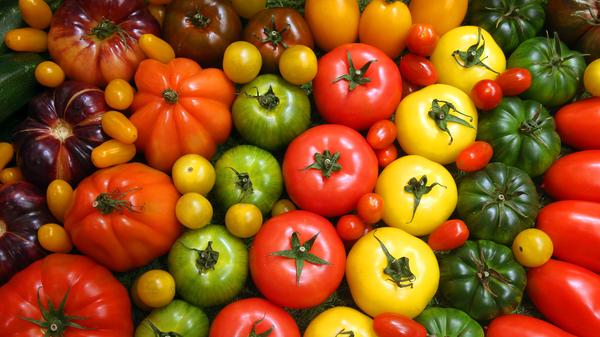 Gemüse zählt zu den gesündesten und kalorienärmsten Lebensmitteln, die diese Erde hervorgebracht hat. Wässrige Gemüsesorten wie zum Beispiel Gurke, Kohl, Tomate, Paprika oder Salat haben so gut wie keine Kalorien, versorgen den Körper dafür aber mit wichtigen Nährstoffen - und Wasser. Andere Gemüsearten wie zum Beispiel Kartoffeln, Kürbis oder Möhren haben zwar etwas mehr Kalorien, sind aber immer noch extrem gesund, nährstoffreich und wichtig. Auch auf Grund des Klimawandels wird eine hauptsächlich auf Pflanzen basierte Ernährungsweise immer wichtiger.