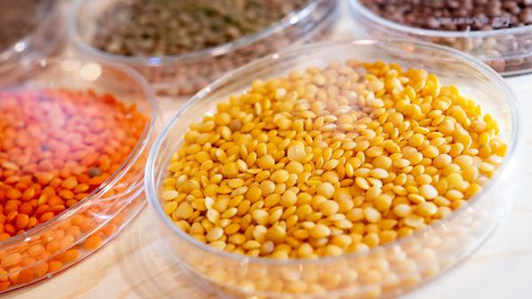 urn:newsml:dpa.com:20090101:200121-90-009930