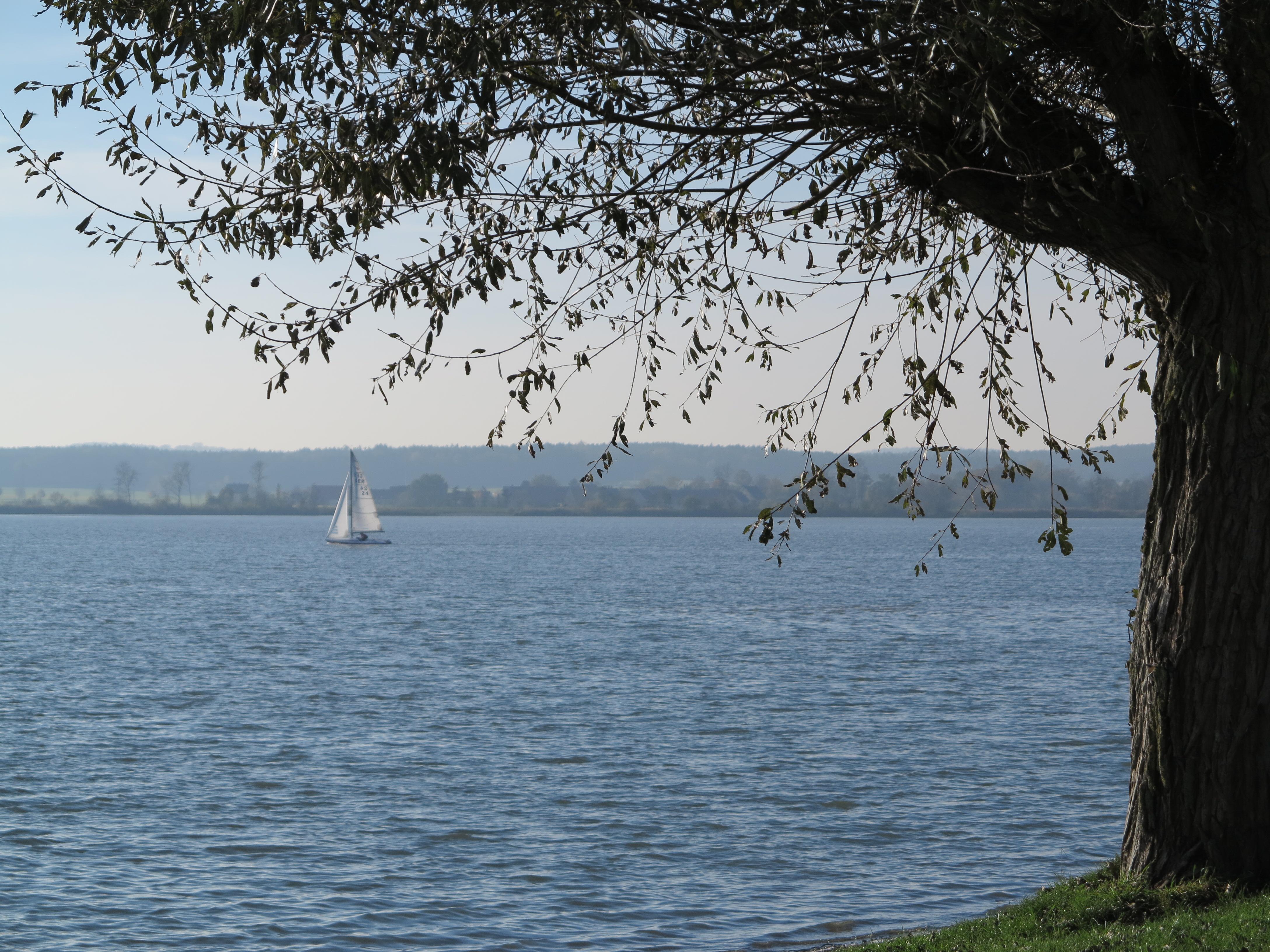 Ob Surfen oder Joggen, Paddeln oder Radeln, Schwimmen oder Drachensteigen, der Altmühlsee bietet viel Raum für Outdoorvergnügungen. Doch nicht nur Menschen, die sich sportlich betätigen wollen, kommen hier auf ihre Kosten. Der See hat auch viel für Romantiker übrig und verwöhnt sie immer wieder mit spektakulären Sonnenauf- und -untergängen.