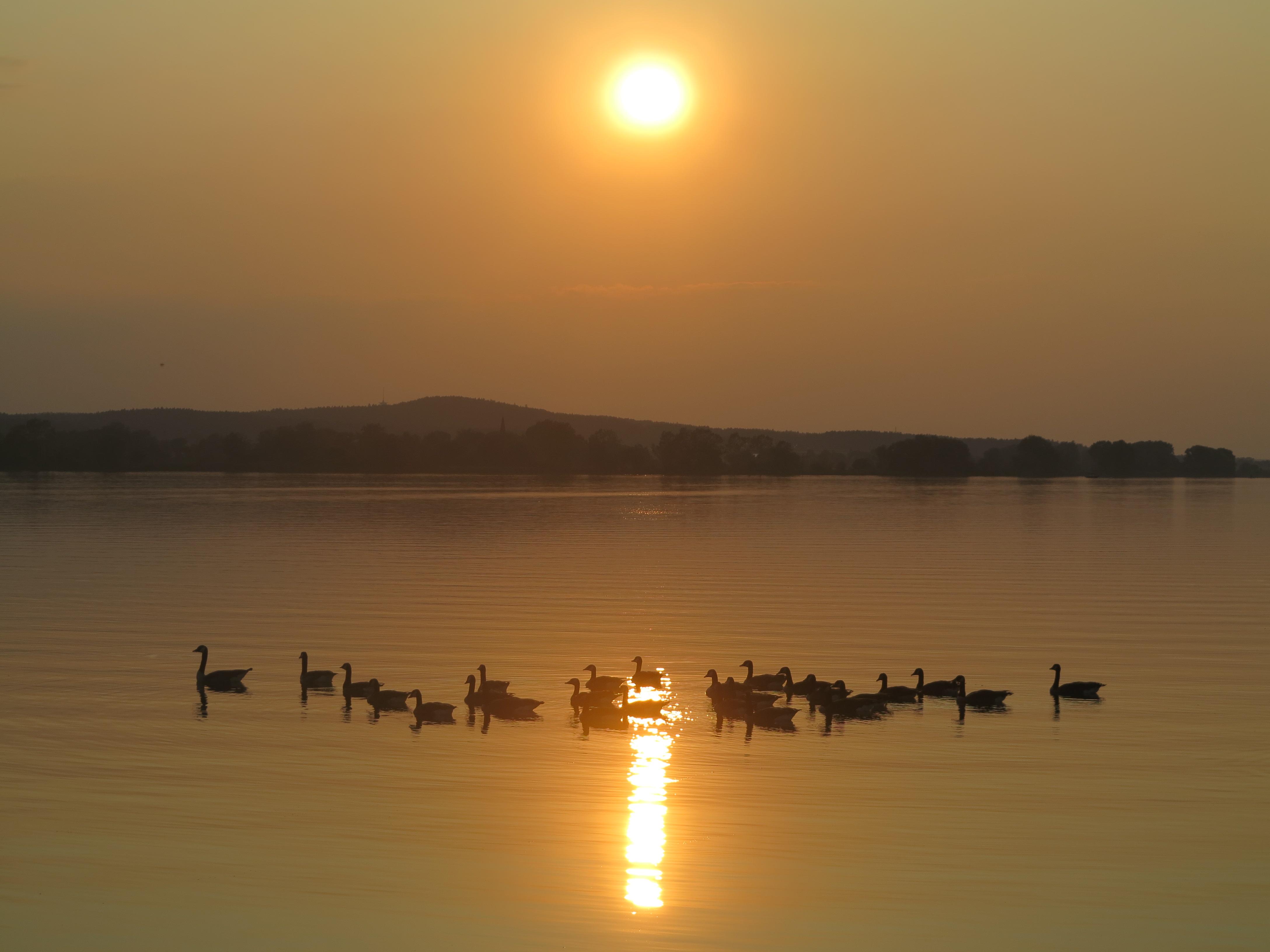 Ob Surfen oder Joggen, Paddeln oder Radeln, Schwimmen oder Drachensteigen, der Altmühlsee bietet viel Raum für Outdoorvergnügungen. Doch nicht nur Menschen, die sich sportlich betätigen wollen, kommen hier auf ihre Kosten. Der See hat auch viel für Romantiker übrig und verwöhnt sie immer wieder mit spektakulären Sonnenauf- und -untergängen.