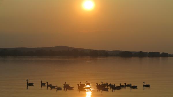 Ob Surfen oder Joggen, Paddeln oder Radeln, Schwimmen oder Drachensteigen, der Altmühlsee bietet viel Raum für Outdoorvergnügungen. Doch nicht nur Menschen, die sich sportlich betätigen wollen, kommen hier auf ihre Kosten. Der See hat auch viel für Romantiker übrig und verwöhnt sie immer wieder mit spektakulären Sonnenauf- und -untergängen.