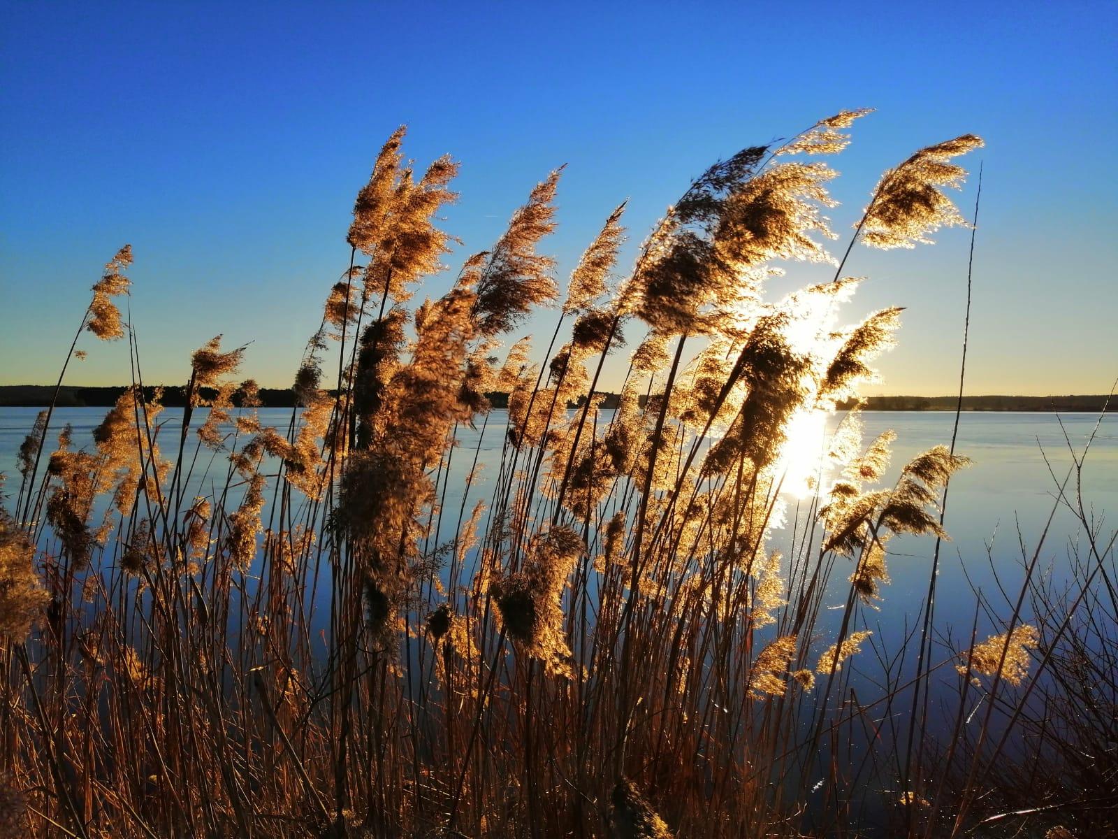 Ob Surfen oder Joggen, Paddeln oder Radeln, Schwimmen oder Drachensteigen, der Altmühlsee bietet viel Raum für Outdoorvergnügungen. Doch nicht nur Menschen, die sich sportlich betätigen wollen, kommen hier auf ihre Kosten. Der See hat auch viel für Romantiker übrig und verwöhnt sie immer wieder mit spektakulären Sonnenauf- und -untergängen.