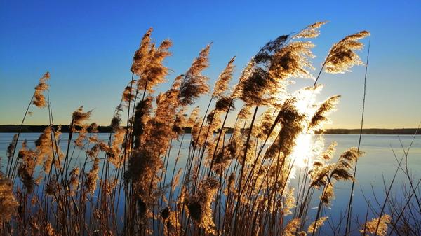 Ob Surfen oder Joggen, Paddeln oder Radeln, Schwimmen oder Drachensteigen, der Altmühlsee bietet viel Raum für Outdoorvergnügungen. Doch nicht nur Menschen, die sich sportlich betätigen wollen, kommen hier auf ihre Kosten. Der See hat auch viel für Romantiker übrig und verwöhnt sie immer wieder mit spektakulären Sonnenauf- und -untergängen.