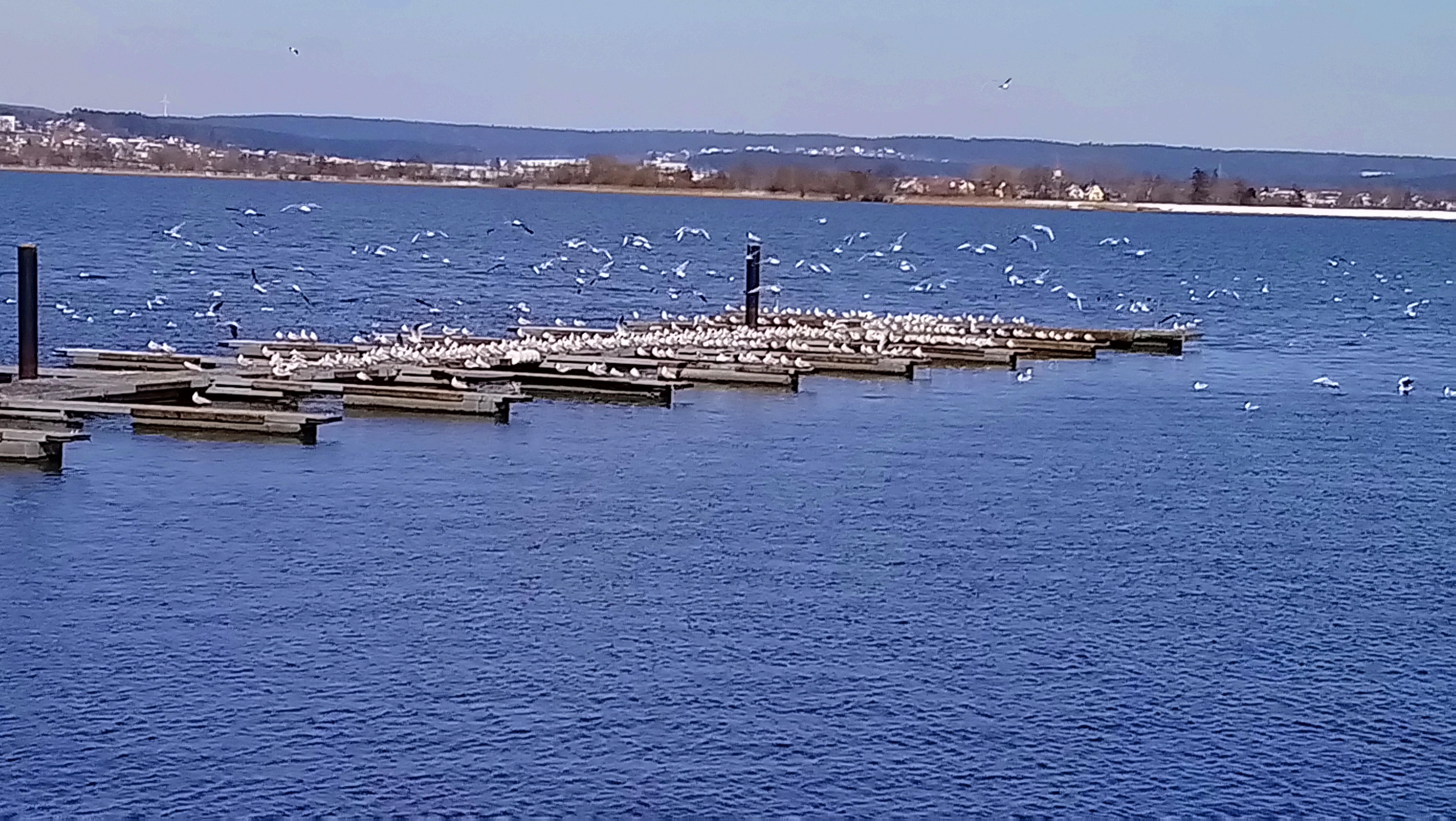Ob Surfen oder Joggen, Paddeln oder Radeln, Schwimmen oder Drachensteigen, der Altmühlsee bietet viel Raum für Outdoorvergnügungen. Doch nicht nur Menschen, die sich sportlich betätigen wollen, kommen hier auf ihre Kosten. Der See hat auch viel für Romantiker übrig und verwöhnt sie immer wieder mit spektakulären Sonnenauf- und -untergängen.