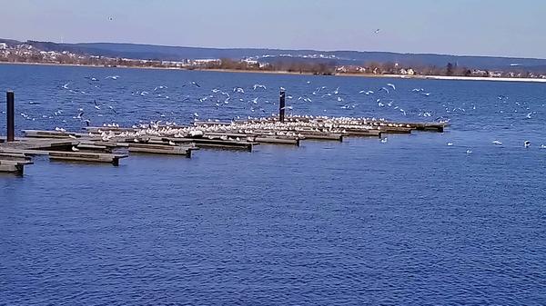 Ob Surfen oder Joggen, Paddeln oder Radeln, Schwimmen oder Drachensteigen, der Altmühlsee bietet viel Raum für Outdoorvergnügungen. Doch nicht nur Menschen, die sich sportlich betätigen wollen, kommen hier auf ihre Kosten. Der See hat auch viel für Romantiker übrig und verwöhnt sie immer wieder mit spektakulären Sonnenauf- und -untergängen.
