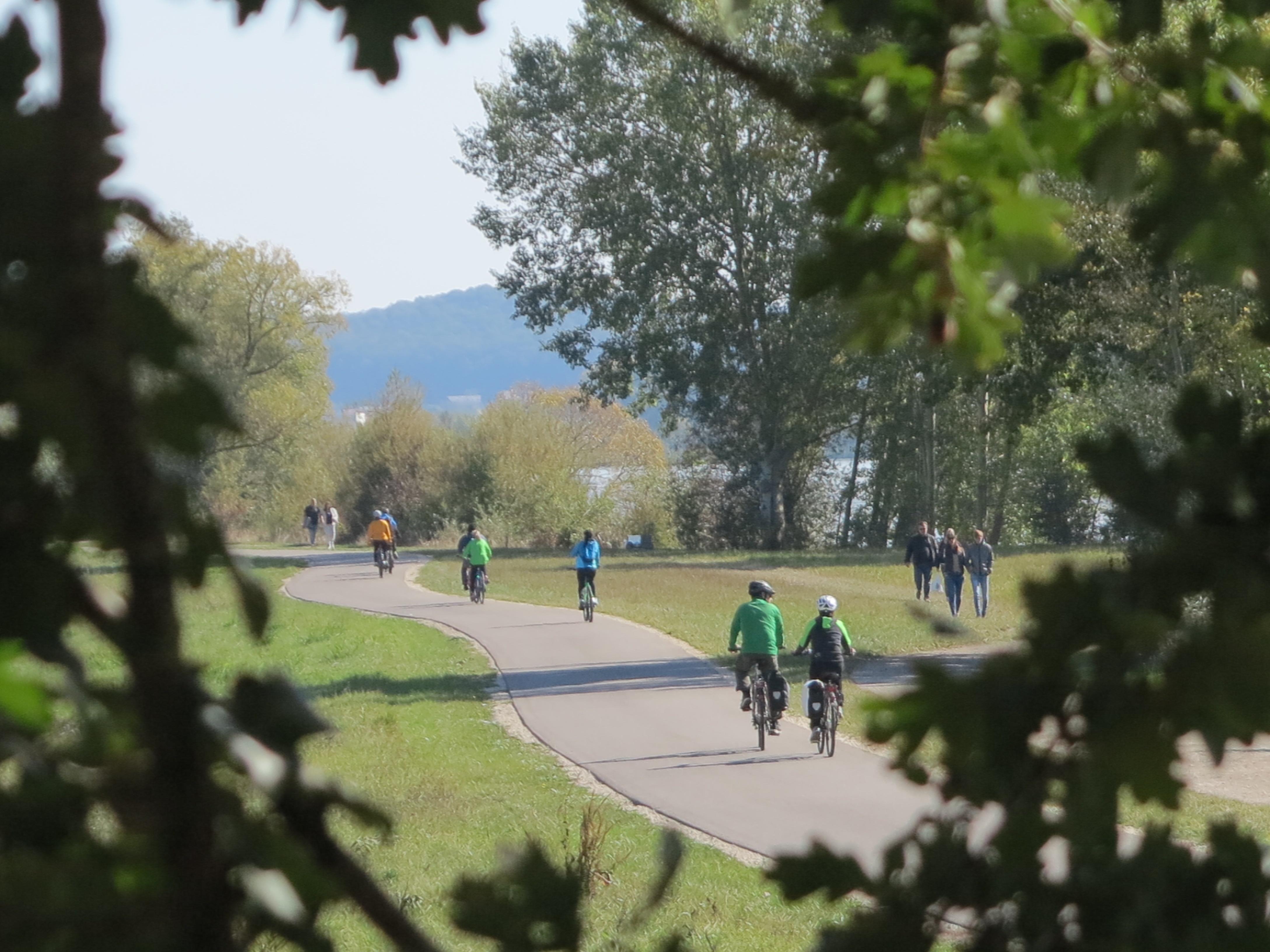Ob Surfen oder Joggen, Paddeln oder Radeln, Schwimmen oder Drachensteigen, der Altmühlsee bietet viel Raum für Outdoorvergnügungen. Doch nicht nur Menschen, die sich sportlich betätigen wollen, kommen hier auf ihre Kosten. Der See hat auch viel für Romantiker übrig und verwöhnt sie immer wieder mit spektakulären Sonnenauf- und -untergängen.