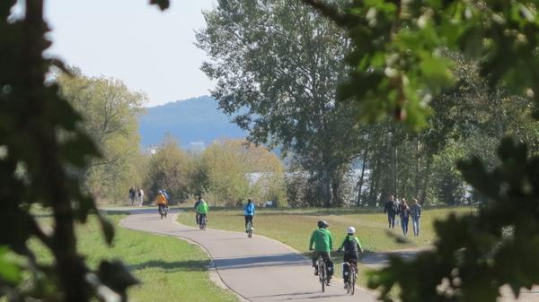 Ob Surfen oder Joggen, Paddeln oder Radeln, Schwimmen oder Drachensteigen, der Altmühlsee bietet viel Raum für Outdoorvergnügungen. Doch nicht nur Menschen, die sich sportlich betätigen wollen, kommen hier auf ihre Kosten. Der See hat auch viel für Romantiker übrig und verwöhnt sie immer wieder mit spektakulären Sonnenauf- und -untergängen.