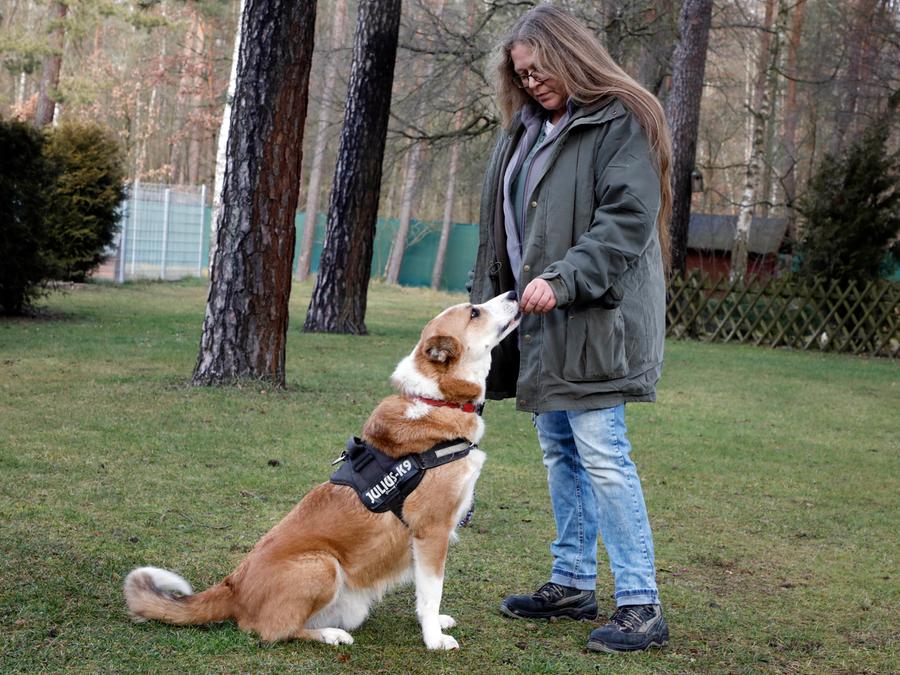owalo design Tierheim Bamberg Hunde