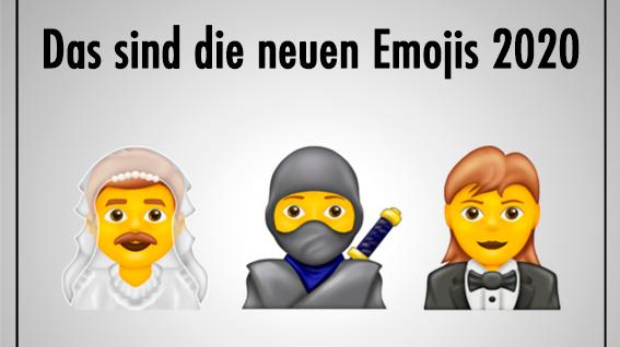 Stahlhelm, Fondue und Robbe: Das sind die neuen Emojis 2020