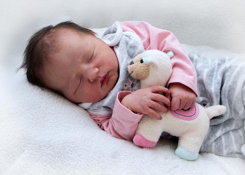 Mit einem Lämmchen im Arm lässt es sich gleich noch viel besser träumen: Die kleine Klara erblickte am 2. Februar im St. Theresien-Krankenhaus das Licht der Welt. 51 Zentimeter war sie bei ihrer Geburt groß, 3580 Gramm war sie schwer.