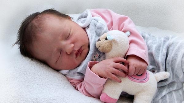 Mit einem Lämmchen im Arm lässt es sich gleich noch viel besser träumen: Die kleine Klara erblickte am 2. Februar im St. Theresien-Krankenhaus das Licht der Welt. 51 Zentimeter war sie bei ihrer Geburt groß, 3580 Gramm war sie schwer.