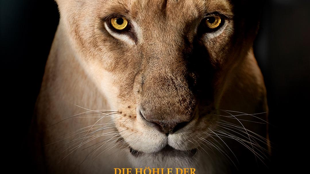 In Nürnberg können sich Interessierte am 11. Februar für die TV-Sendung "Die Höhle des Löwen" bewerben.