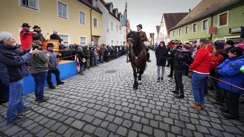 Unter den Blicken und Kommentaren der Fachleute ging es für die Pferdebesitzer durch die Stadt.