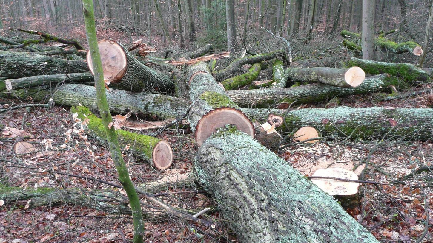 Sulzbürg: Ärger um Baumfäll-Aktion
