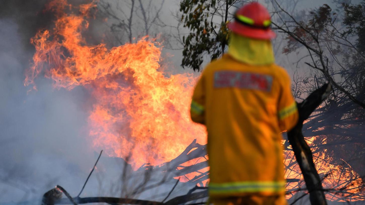 Buschbrände in Australien: Rotherin trauert um Tiere