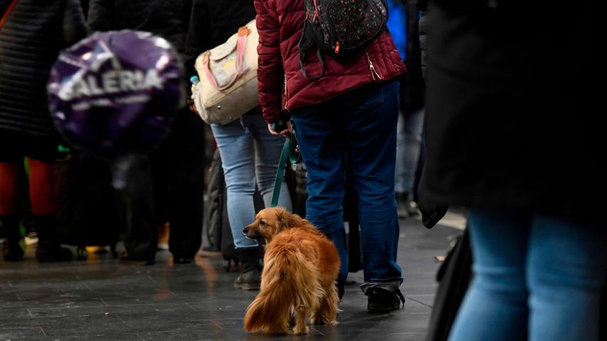 A passenger with a dog waits at the main railway station after trains have been cancelled because of the forecasted heavy storm 'Sabine' in Dortmund, western Germany on February 9, 2020. - Germany hunkered down on February 09 and 10, 2020 for a powerful storm expected to disrupt air, rail and sea links, cancel sports events, cut electrical power and damage property. With howling winds and driving rain, forecasters said Ciara would also hit France, Belgium, the Netherlands, Switzerland and Britain. (Photo by Ina FASSBENDER / AFP)