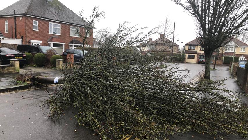 09.02.2020, Großbritannien, Gloucester: Ein Baum liegt umgestürzt in der Gegend der Longlevens. Großbritannien und Irland ist es am Wochenende zu erheblichen Verkehrsbehinderungen und Schäden durch heftigen Wind und Regen gekommen. Foto: Rod Minchin/PA Wire/dpa +++ dpa-Bildfunk +++